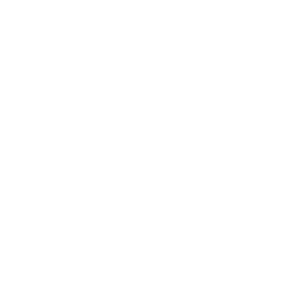 Visium Logo Vertical White